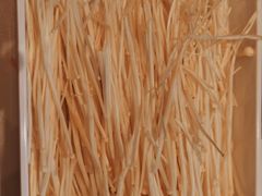 -雅佳神话·麻辣烤鱼(新街口店)