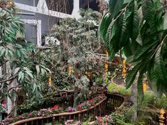 -正佳雨林生态植物园