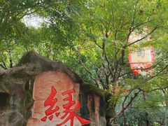 -杭州黄龙洞