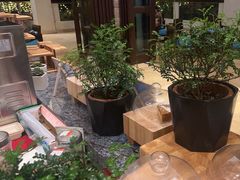 -三亚海棠湾喜来登度假酒店大堂吧