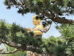 -上海东林寺(金山区)