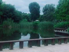 -天目湖涵田半山温泉