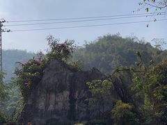 -西双版纳原始森林公园