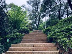 -飞凤山奥体公园