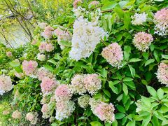 -长春市南湖公园