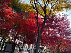-尚贤河湿地
