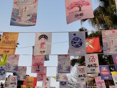 -重庆海昌加勒比海水世界