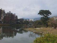 -四海公园(南山区)