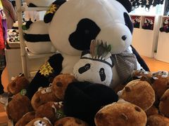 -大连森林动物园熊猫馆纪念品商店