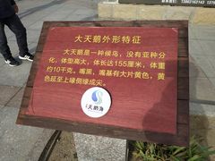 -烟墩角天鹅湖