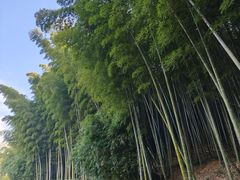 -苏州环秀晓筑养生度假村