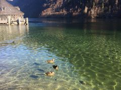 -柯尼希湖