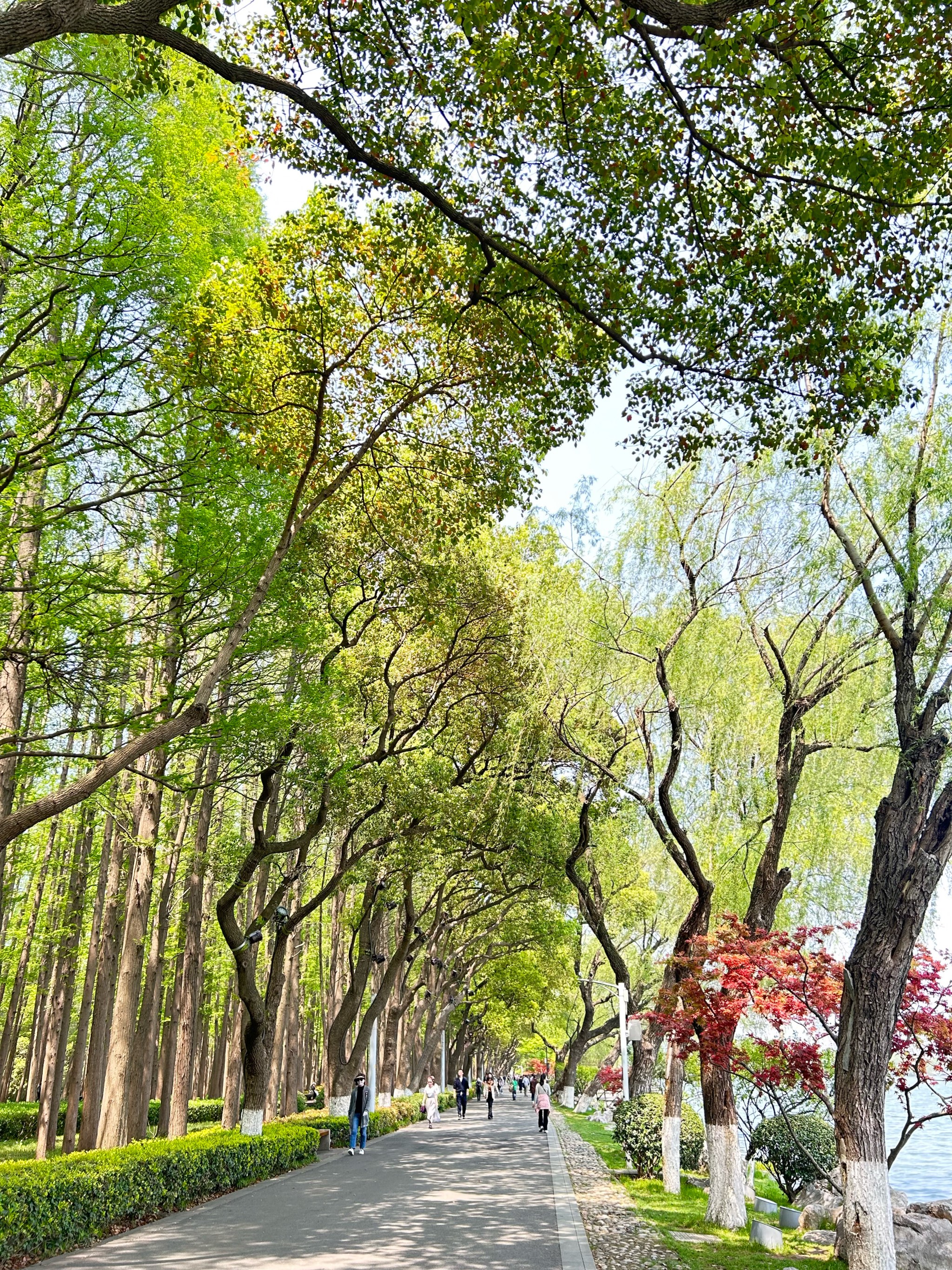 南京玄武湖附近景点图片