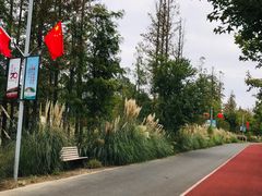 -上海长兴岛郊野公园