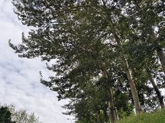 -海棠花溪(元大都城垣遗址公园)