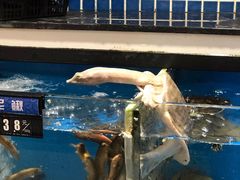 -樊阿姨•肉夹馍•手工面(嘉禾望岗店)