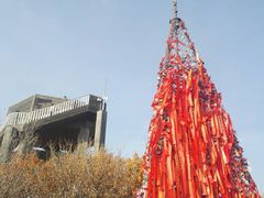 -帽儿山国家森林公园