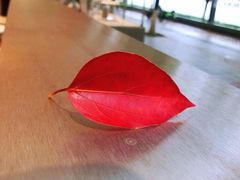 -分子跳动鲜活面包(五一大道店)