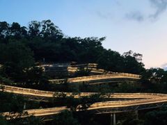 -福道
