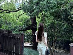-桂语山房(满觉陇店)