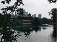 -荔湾湖公园