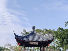 -江心屿景区