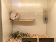 -龙猫仔乐园(惠福东路店)