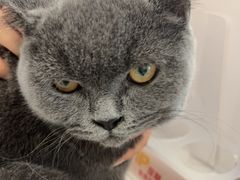 -艾贝尔宠物医院 ·中兽医·宠保定点(北门桥店)