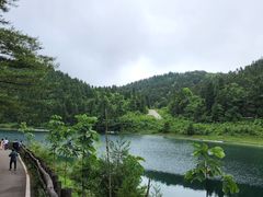 -武陵山森林公园