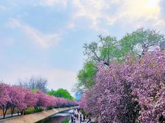 -海棠花溪(元大都城垣遗址公园)
