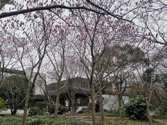 -秋霞圃