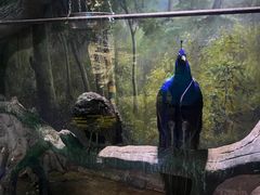 -多彩贵州城极地海洋世界