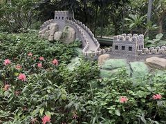 -南宫五洲植物乐园