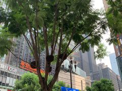 -八一路好吃街(雨田商务大厦店)