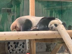 -西安秦岭野生动物园