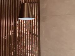 -老头儿油爆虾(星光一期店)