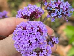 -上海交通大学(闵行校区)