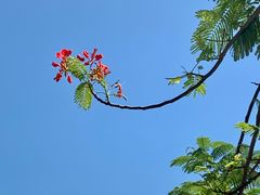 -小海豚•老字号海鲜餐厅(天涯店)