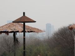 -合肥野生动物园