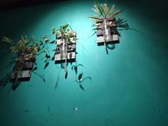 -阪尚皇·原切牛排·烤肉火锅自助(北京路店)