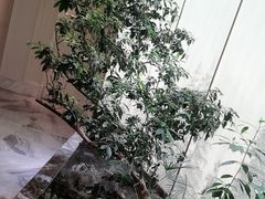 -双湖宴·湖北菜(文化路店)