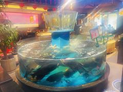 -魏铭鱼头捞饭(嘉善店)