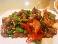 -煲来饱去冷水鱼