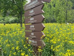 -苏州上方山国家森林公园