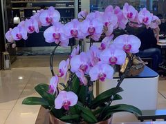 -simply thai天泰(静安嘉里中心店)