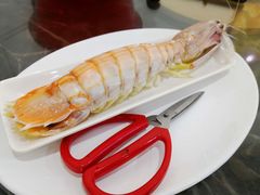 濑尿虾-蚝专家(北滘店)