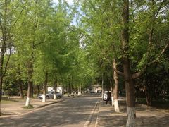 -四川大学(望江校区)