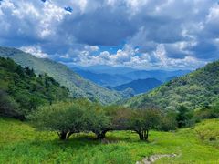 -终南山国家森林公园