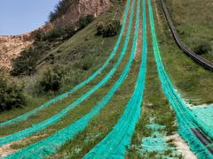 -古柏渡飞黄旅游区