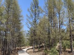 -帽儿山国家森林公园